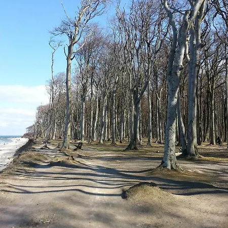 Reetdachhaus Schorsch Ferienhaus *